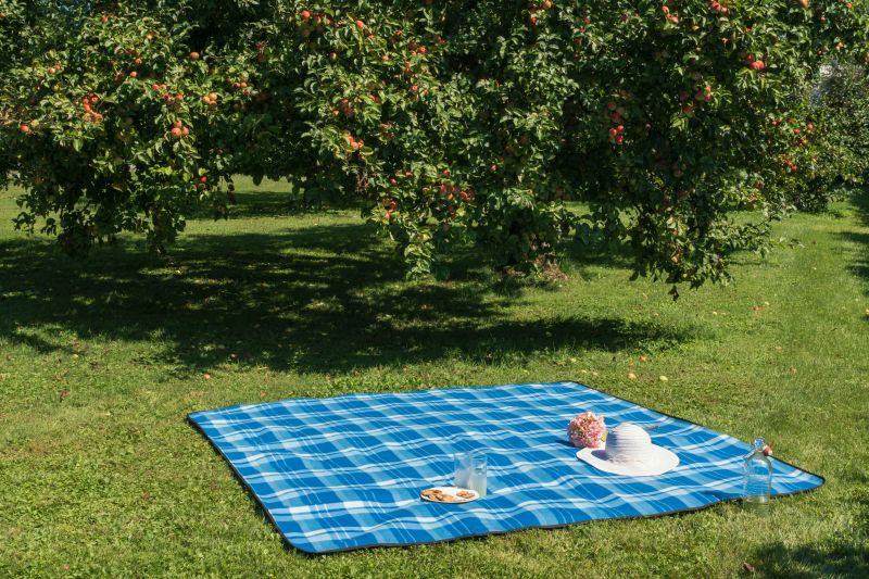 Walser XXL cestovní deka s voděodolnou podložkou - skládací plážová modrá/červená 200 x cm